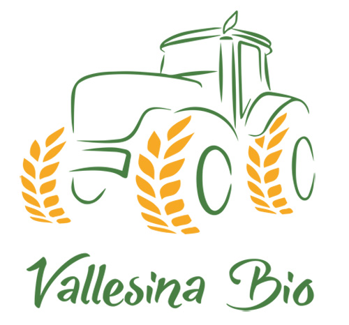 Vallesina-Bio---Logo-singolo