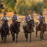 Tour Argentario e Maremma
